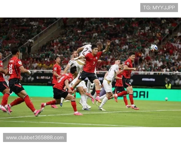 2026年世界杯南非与韩国激烈对决全场录像在线观看,精彩瞬间一网打尽
